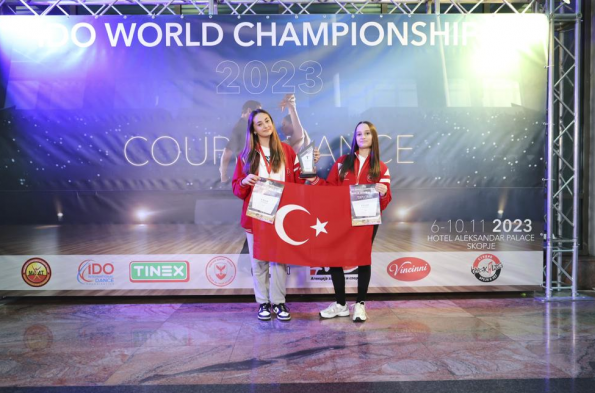 Türkiye Dans Sporları Federasyonu