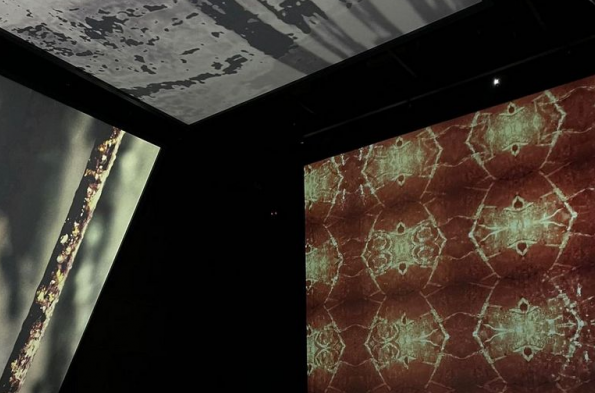ARTER Müzesi  2022